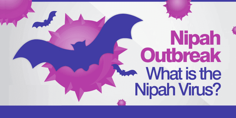Nipah Virus Causes, Symptoms, Diagnosis, Treatment And Prevention