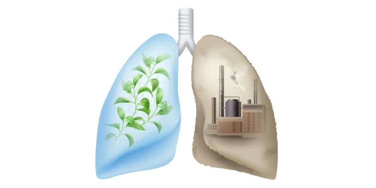 Air Pollution How Air Pollution Is Impairing Yours And Our Health, effects of air pollution, harmful effects of air pollution, increase the chance