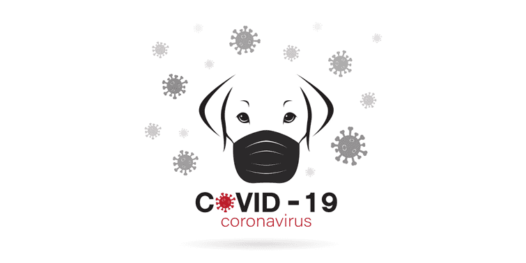 COVID-19 And Pets Do Pets Or Animals Spread Novel Coronavirus