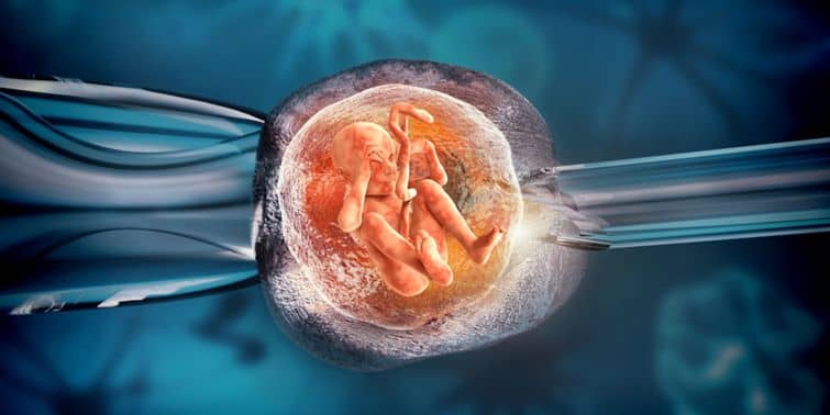 IVF Babies Conceived By In Virto Fertilization (IVF) Have Increased In Birth Weight