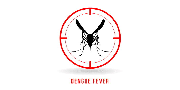 Dengue Fever (Monsoon Monster) Causes, Signs, Symptoms And Treatment