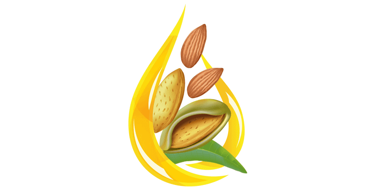 Almond Oil Top 5 Remarkable Almond Oil Health And Nutritional Advantages